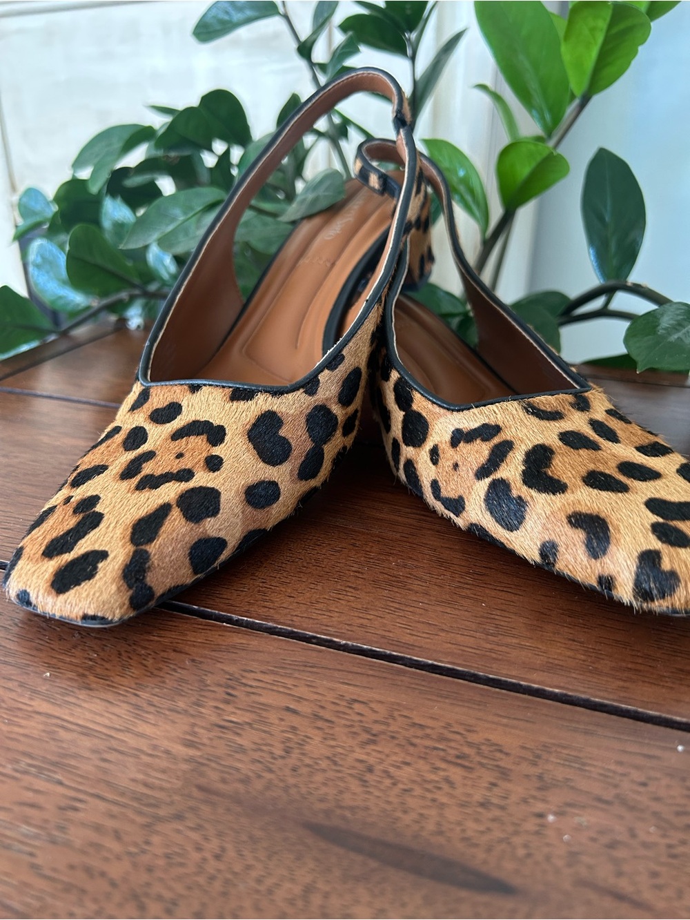 Franco Sarto Leopard Print Slingback Pointed Toe Mules - Tan & Black - Picture 13 of 16